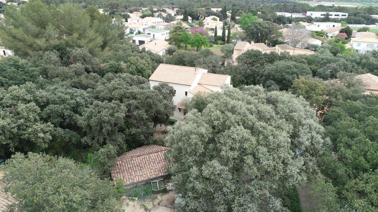 فيلا Magnifique Demeure Familiale كاستريس المظهر الخارجي الصورة